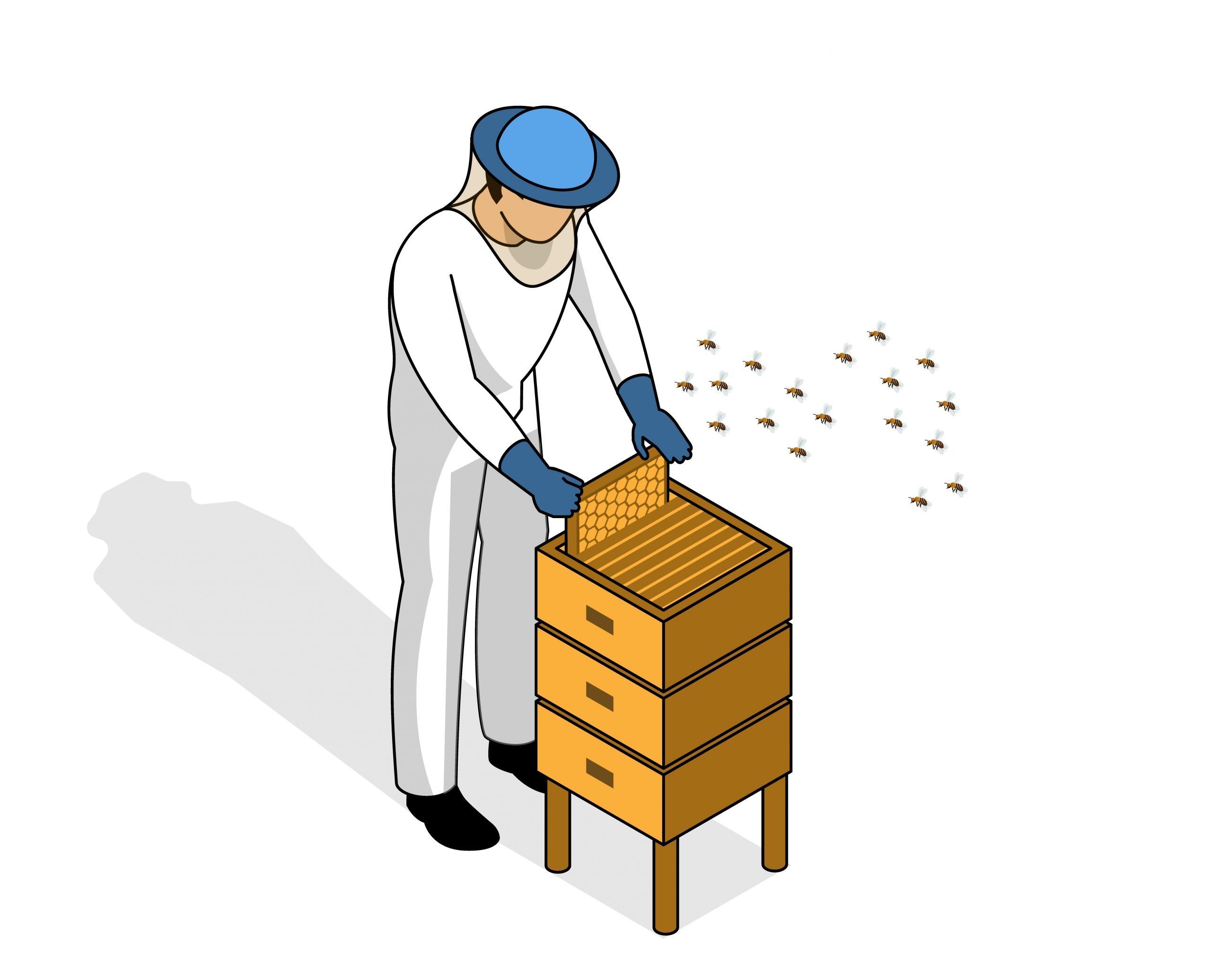 Beekeeper Isometric Illustration